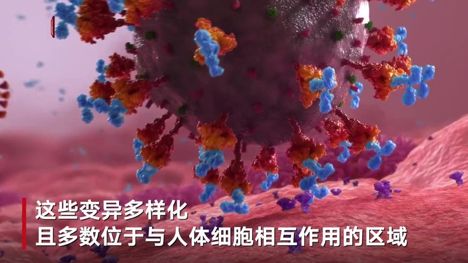 国际丨全球首张奥密克戎毒株图片曝光刺突蛋白突变密集多样