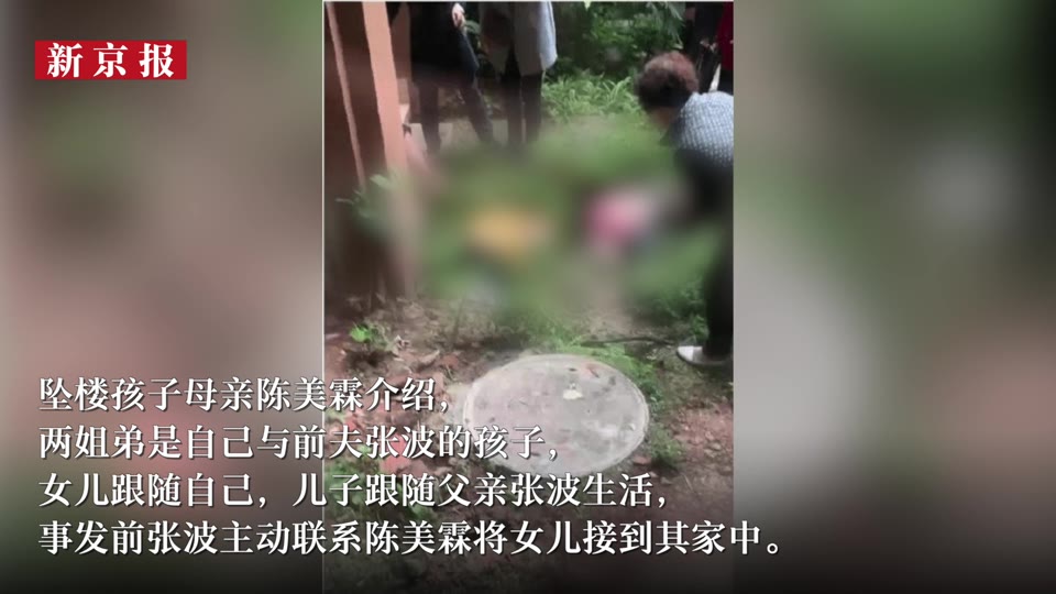 重庆两幼童被亲生父亲故意坠楼致死案28日将再次开庭审理