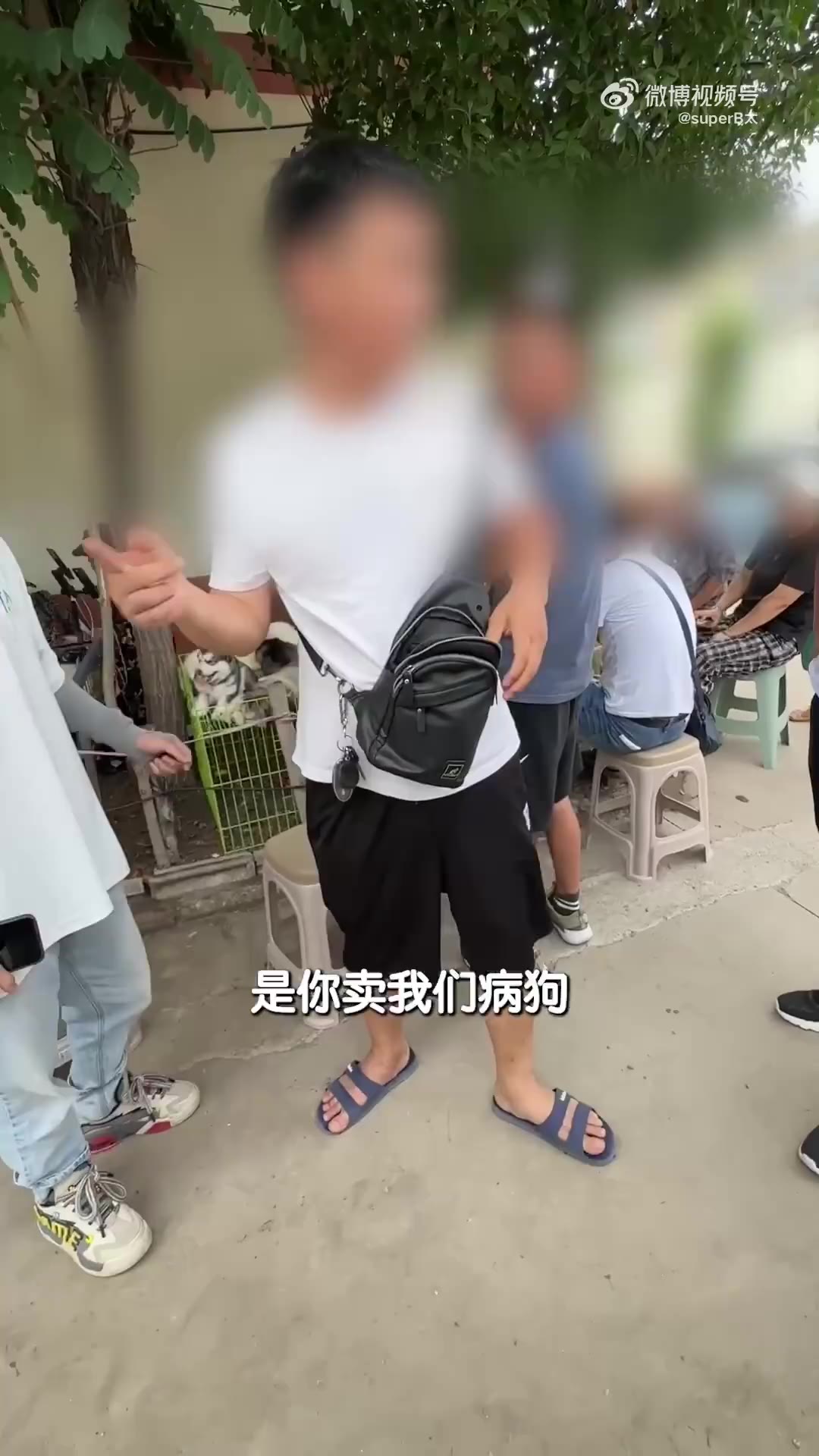 沛县狗市图片